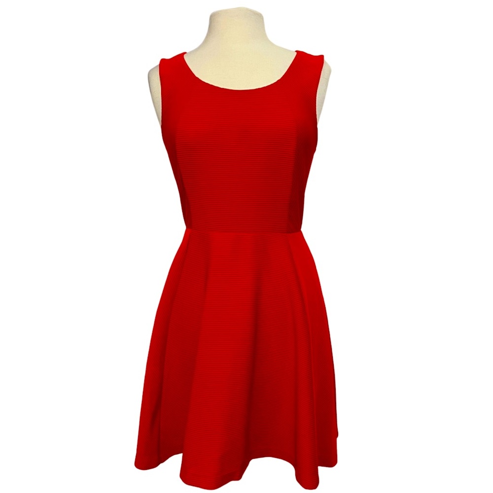 Express Sz M Red Dress Fit and Flare Ribbed Sleeveless Skater High Neck